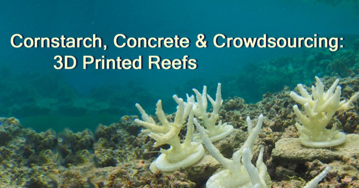 Cornstarch, Concrete and Crowdsourcing: 3D printed reefs.