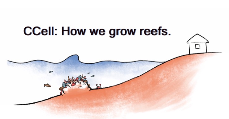 CCell: How we grow reefs.