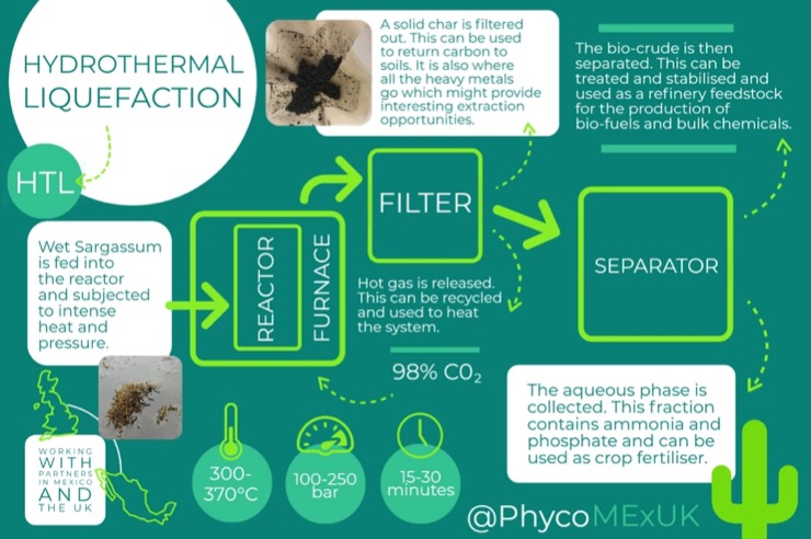 An infographic explaining the hydrothermal liquidifcation process from pycomex blog