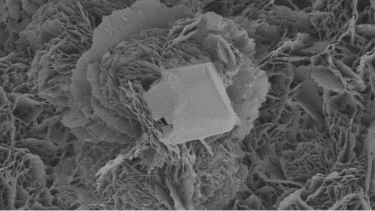SEM image of rock grown by CCell electrolysis