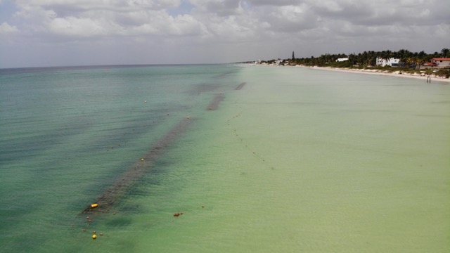 CCell - Telchac Coastline